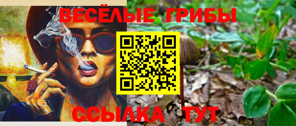 Псилоцибиновые грибы прущие грибы  Вход с VPN  Североморск 